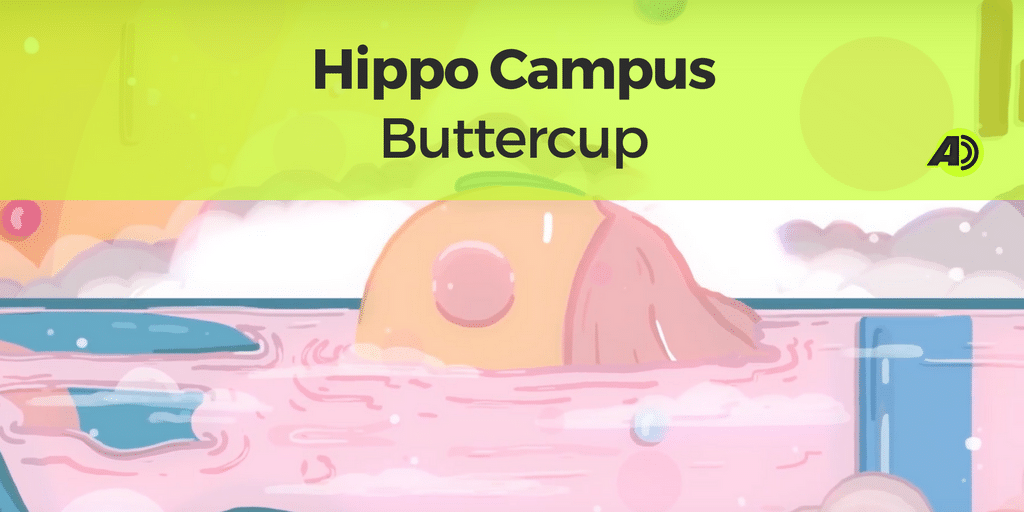 Hippo Campus – Buttercup