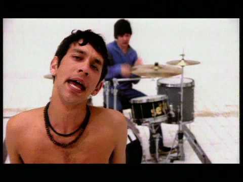 Shed Seven – Dolphin