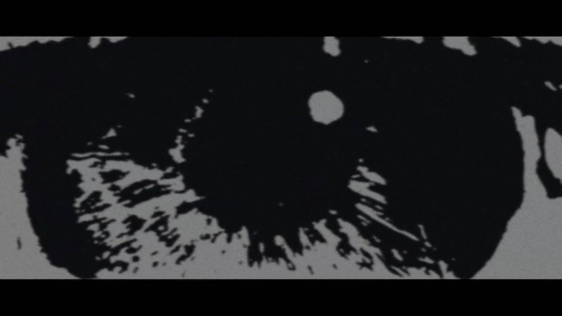 Arctic Monkeys My Propeller AltSounds