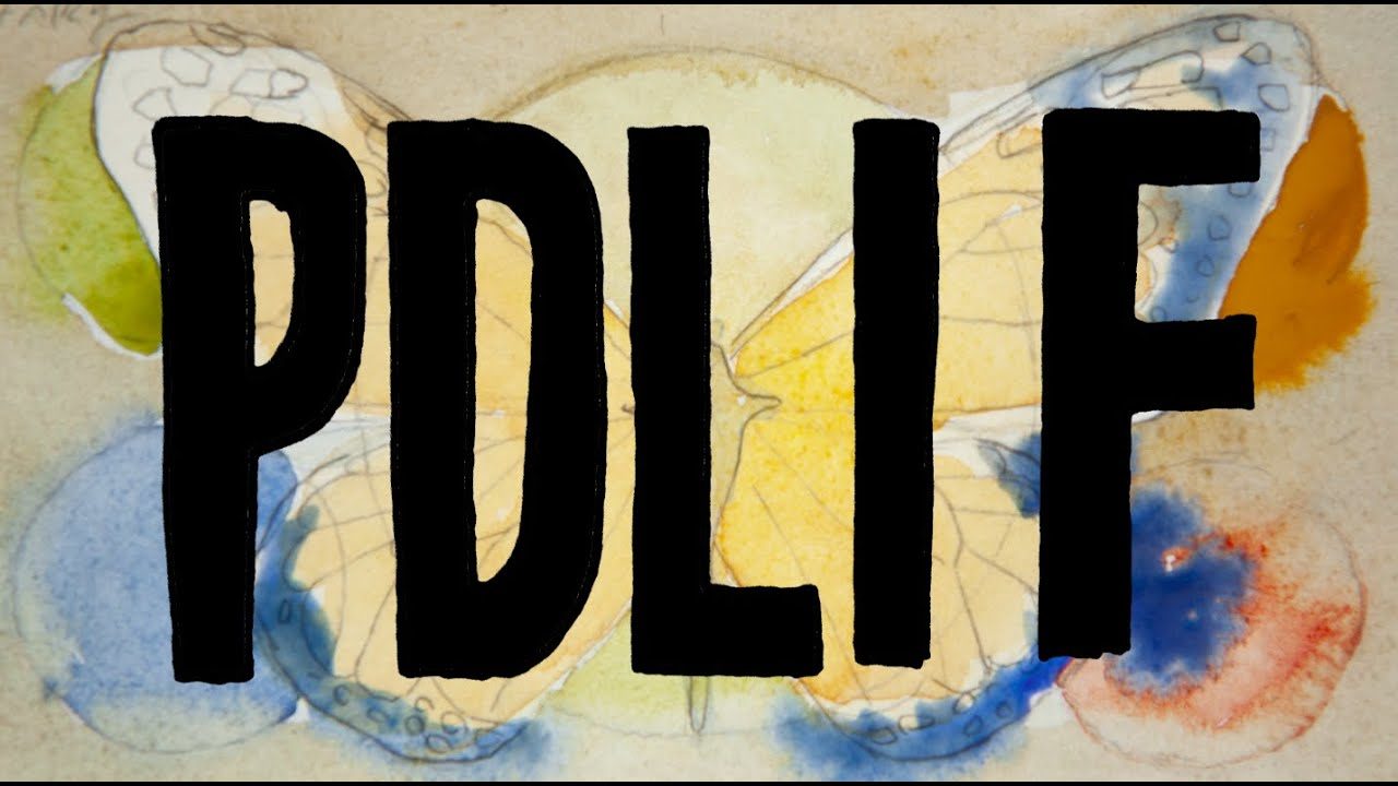 Bon Iver – PDLIF